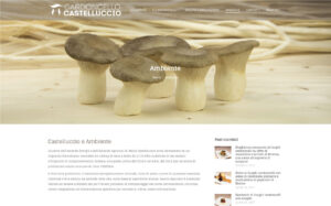 foto funghi cardoncelli lucani